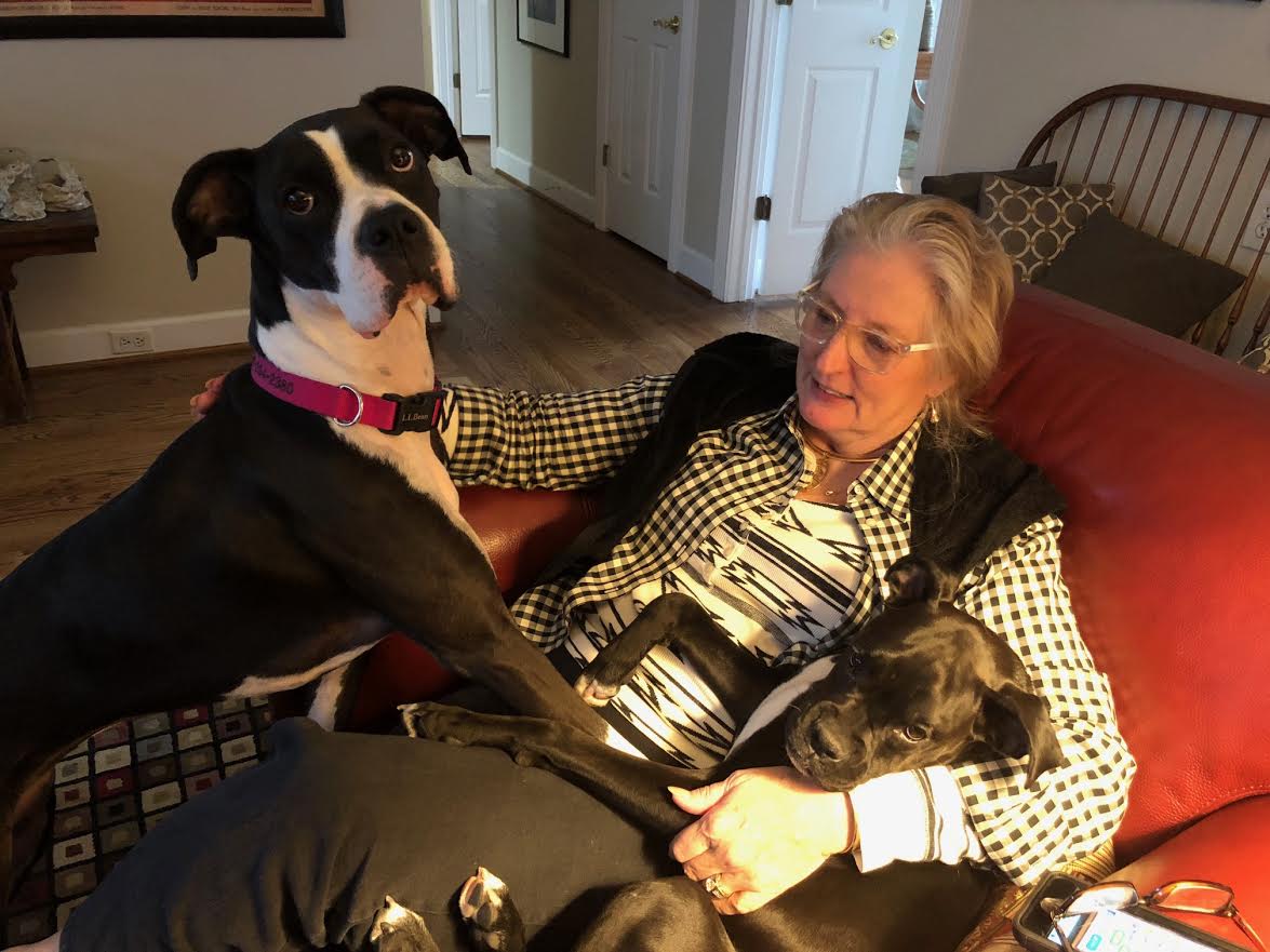 Jack Francisco's wife sitting on a chair with her two dogs.