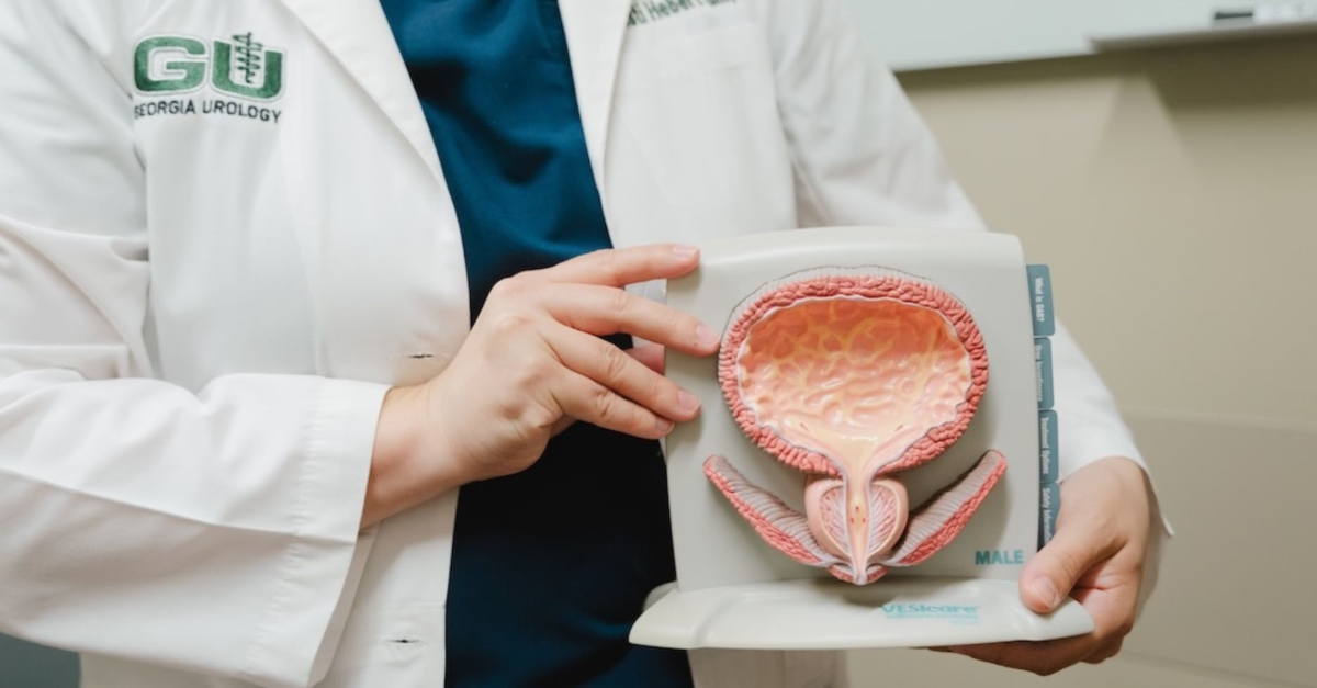 GU Urologist in a white coat holding and explaining a detailed anatomical model of the male urinary system, including the bladder