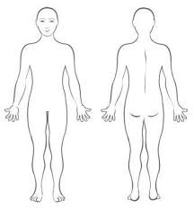 Photo of a genderless naked person, front and back. 