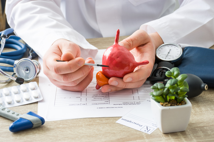 At doctors appointment physician shows to patient shape of urine bladder with focus on hand with organ. Scene explaining patient causes and localization of diseases of bladder and the urinary system.