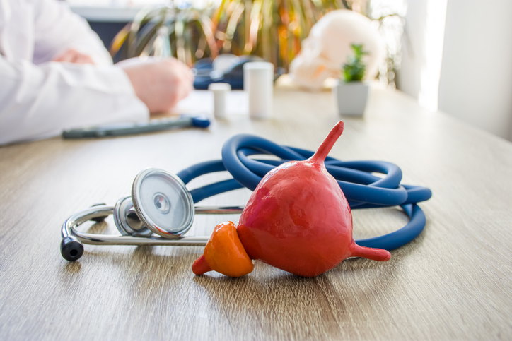 Concept photo of diagnosis and treatment of bladder and prostate. In foreground is model of bladder near stethoscope in background blurred silhouette doctor at table, filling medical documentation about enlarged prostate.