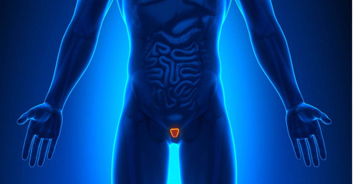 Medical imaging of male prostate organs